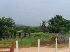 Mais de 50 municípios da Paraíba registram pequenas chuvas de ontem para hoje; veja os índices oficiais