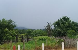 Mais de 100 cidades da Paraíba estão sob alerta de chuvas intensas até esta sexta-feira