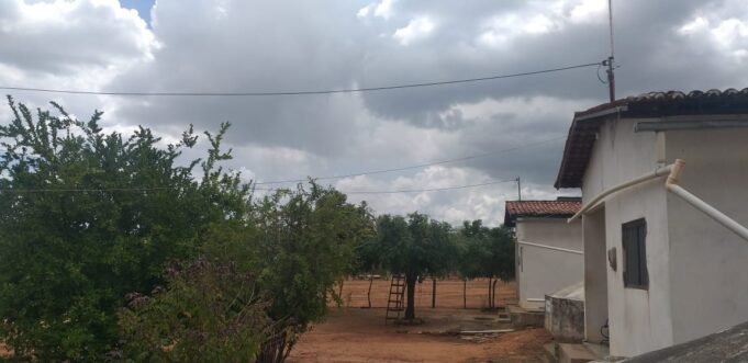 WhatsApp Image 2021-02-17 at 13.37.13