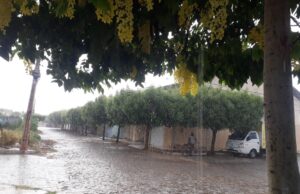 Depois de um dia de muito calor, chove em Patos nesta segunda-feira