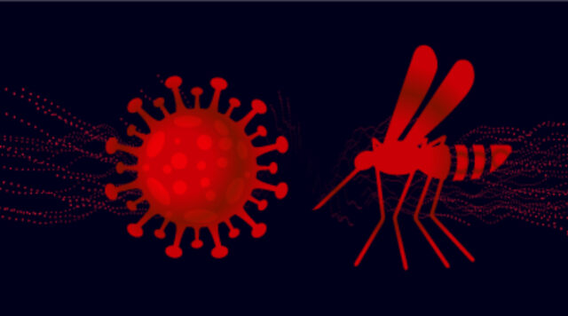 coronavirus-dengue