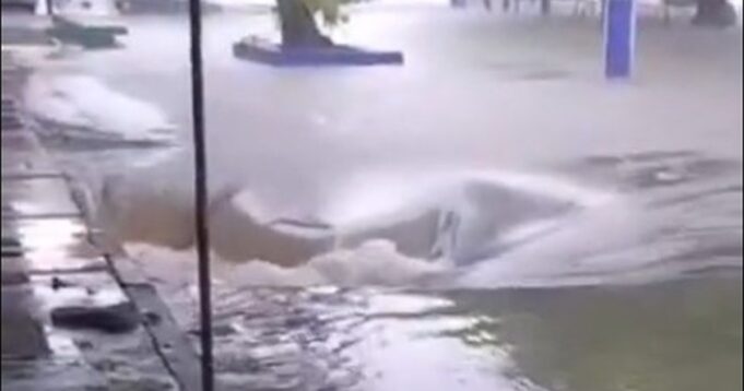 screenshot_1.jpg__1200x630_q85_crop-smart_subsampling-2_upscale