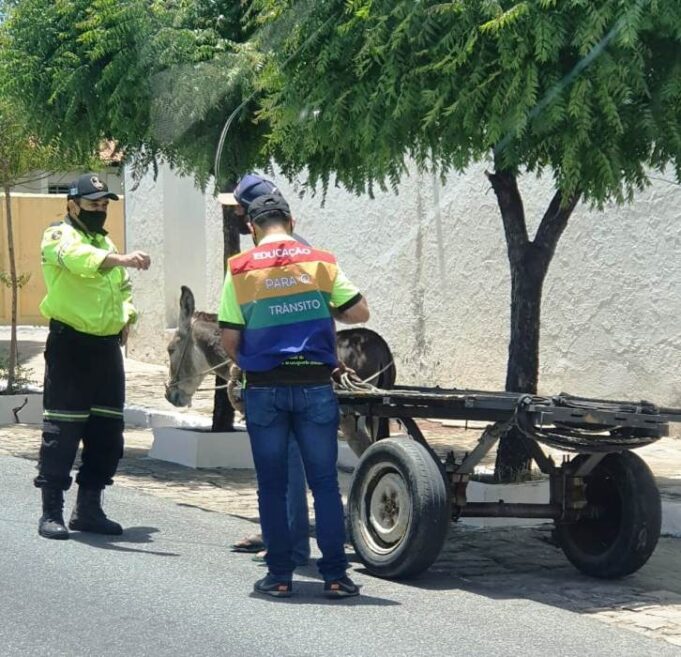 605c753cedd99_sttrans