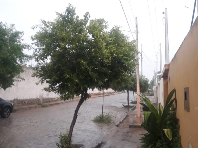 WhatsApp Image 2021-03-04 at 16.25.55