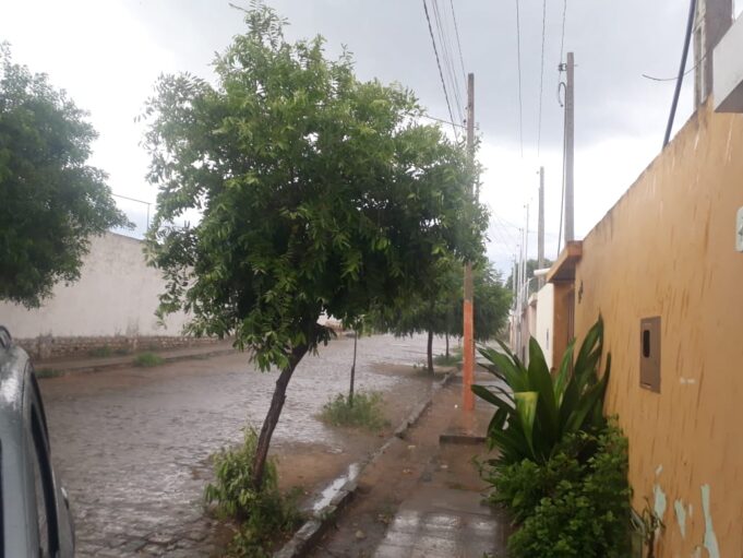 WhatsApp Image 2021-03-26 at 15.54.47