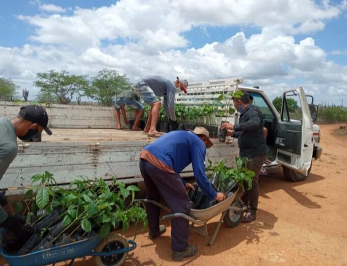 fccc53ff5e9e790d6db64916b52bcf4d