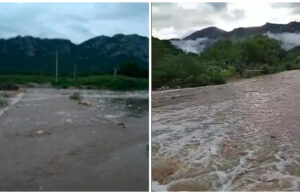 Rio da Cruz amanhece em sua melhor cheia de 2021. Vídeos
