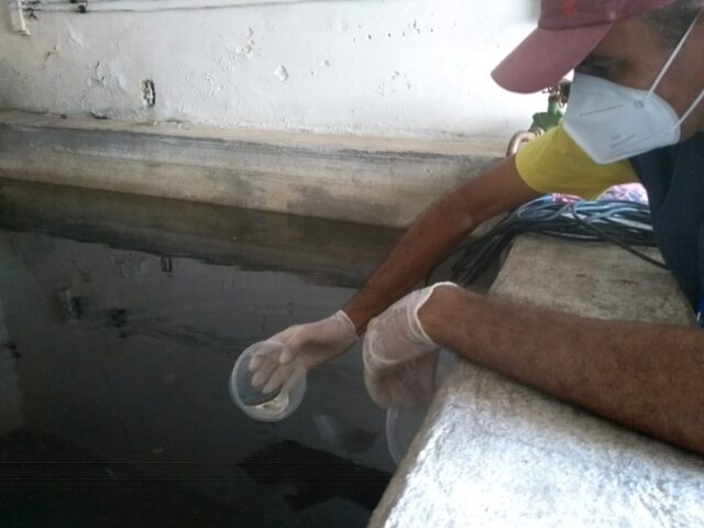 WhatsApp Image 2021-04-29 at 12.53.37