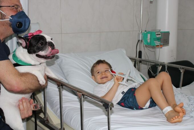 caes_terapeutas_no_hospital_da_unimed