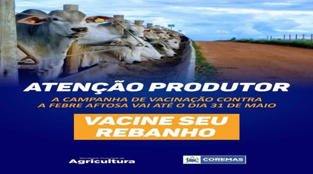 campanha