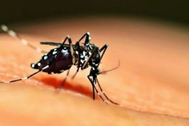 campina-grande-decreta-situacao-de-emergencia-e-guerra-ao-mosquito-da-dengue