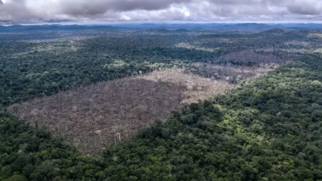 desmatamento-da-amazonia-em-foto-de-julho-de-2020-da-ong-wwf-e-um-dos-mais-temidos-gatilhos-para-nov
