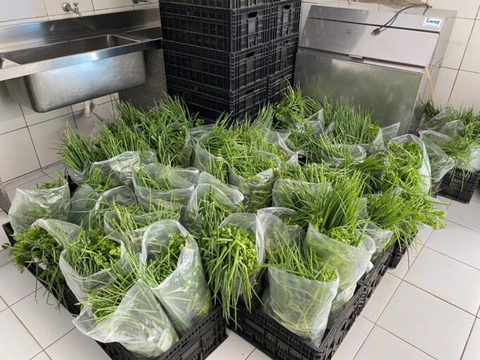 banco de alimentos 2