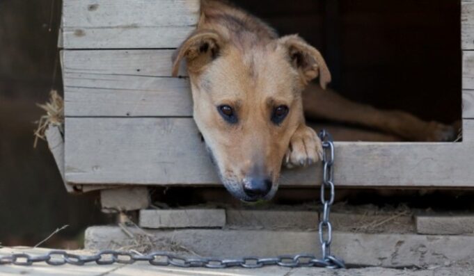 e859117734e27e54c64993befe892ae5