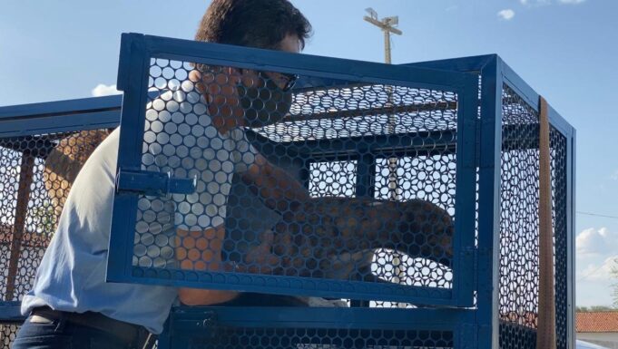 615d02c8df9bb_WhatsApp_Image_2021-10-05_at_17.03.49