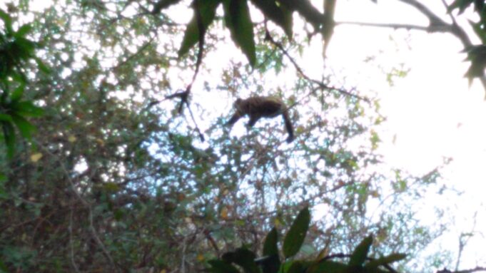 WhatsApp Image 2021-10-29 at 17.59.42