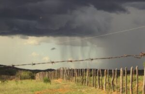 Pequenas chuvas são registradas em dezenas de municípios da Paraíba de ontem para hoje; veja os índices oficiais
