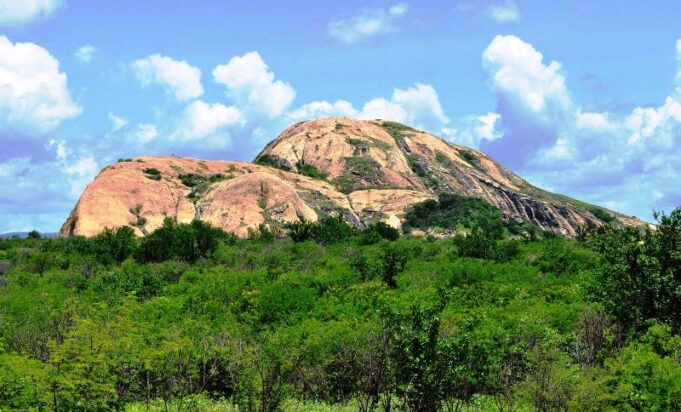 Serrote-do-Espinho-Branco