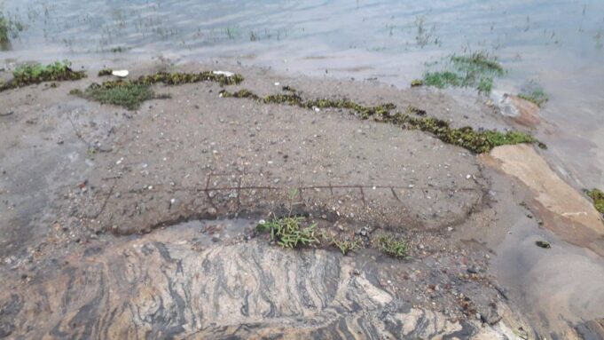 275913497_637909817308463_2107751894931895845_n