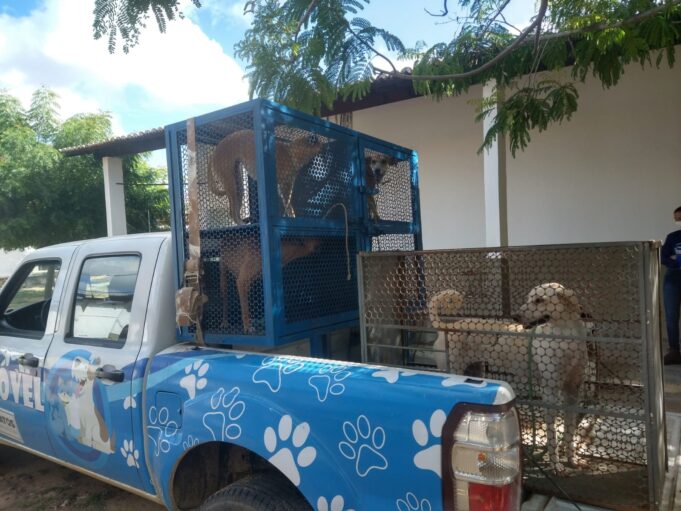 624b622d88593_WhatsApp_Image_2022-04-02_at_10.27.43