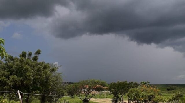 Chuva no Sertão