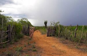 Meteorologista Rodrigo Cézar alerta: fevereiro terá chuvas irregulares e abaixo da média no interior do Nordeste. Vídeo