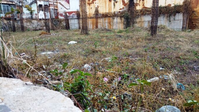 IMG_20220801_110433067