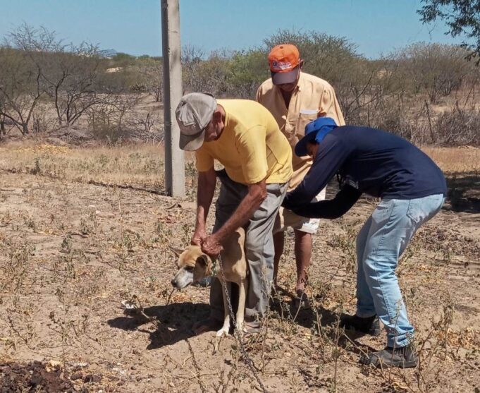 632a2240b3006_WhatsApp_Image_2022-09-20_at_16.24.41