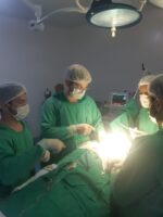 Das 60 cirurgias realizadas no plantao do final de semana 39 foram eletivas