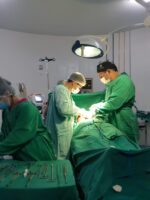 A maior parte das cirurgias foram ortopedicas e vascular com 16 procedimentos no total