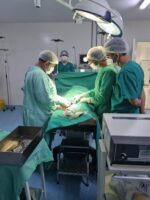 No final de semana das eleicoes o hospital de Patos realizou 29 cirurgias