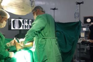91 Das 18 cirurgias seis foram ortop dicas