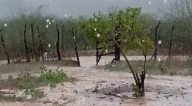 Chuva no Sertão da Paraíba