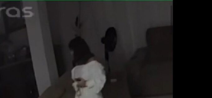 Camila Cristina dos Santos