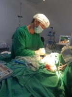 Das nove cirurgias realizadas tres foram Geral outras tres Ortopedicas duas Urologicas e uma Vascular