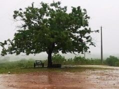 Chove em cerca de 60 municípios da Paraíba de ontem para hoje; veja os índices oficiais