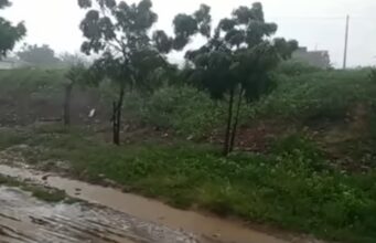 Chuva no Sertao da Paraiba 2