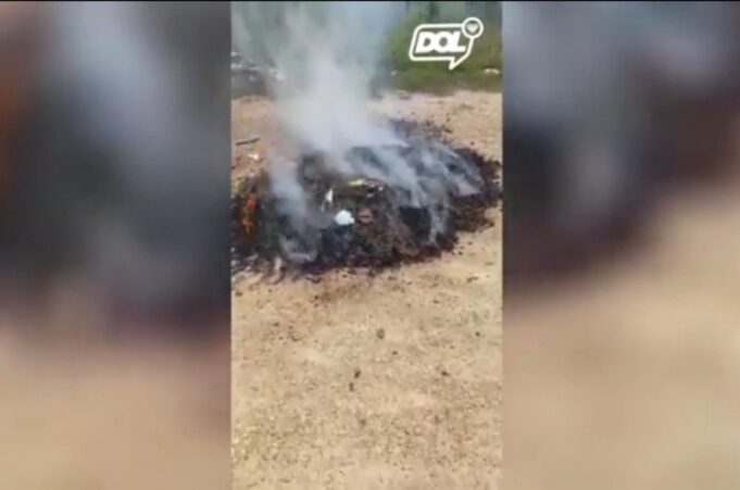 c494de371e3829124a0c