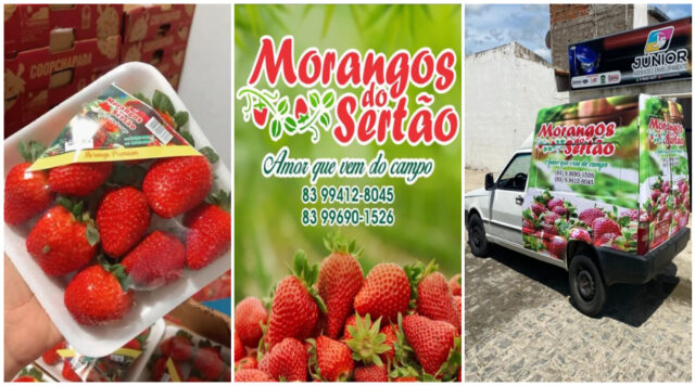 Morangos do Sertão