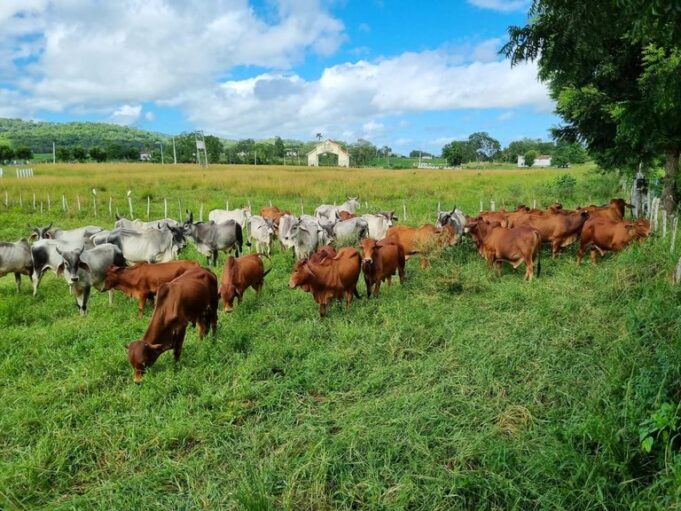 869f565e-e5de-49f7-b596-90f00e04d3c0