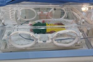 91a50146-4a4b-435f-a238-5346be006400