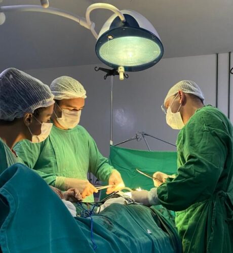 Foram realizadas 21 cirurgias no hospital de patos neste final de semana
