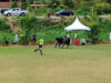 Touro corre desgovernado dentro de campo, enquanto um dos árbitros tenta fugir — Foto: reprodução/Instituto Investindo no Futuro Areial-PB