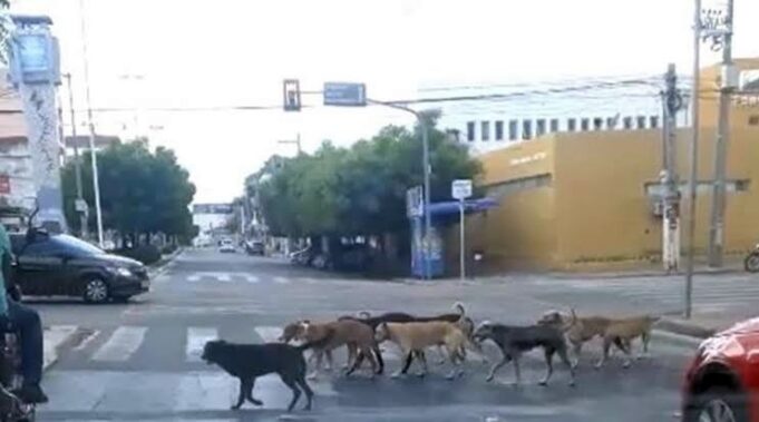 Imagem do WhatsApp de 2023-10-18 à(s) 08.29.35_e45e40ad