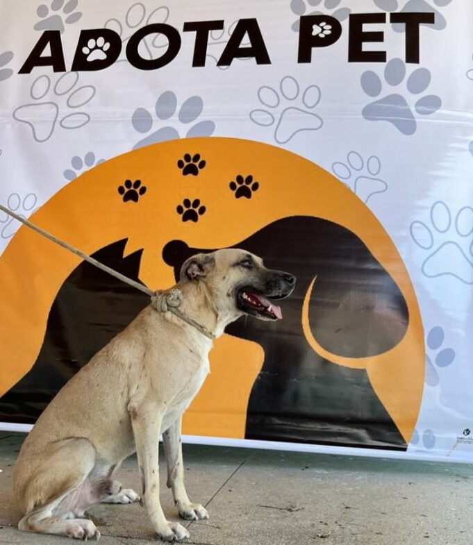 Imagem do WhatsApp de 2023-10-31 à(s) 15.48.22_63d44b71