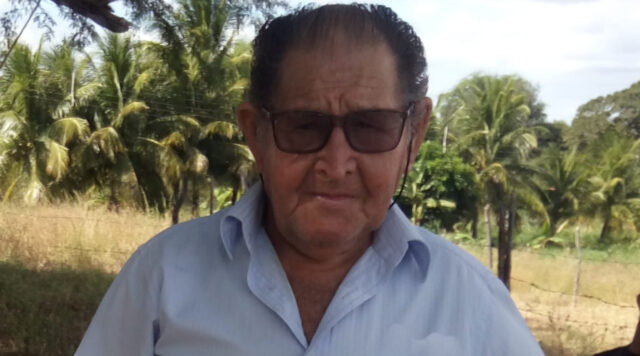 Verdinho
