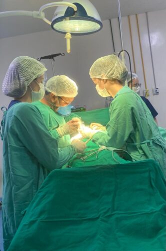 A maioria dos procedimentos cirurgicos foi de oncolA³gica com 14 casos