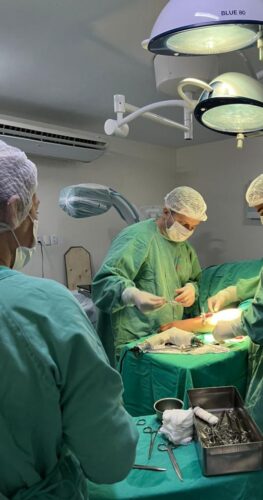 Das 11 cirurgias seis foram ortopedicas
