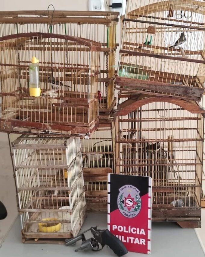 apreensao-em-itaporanga