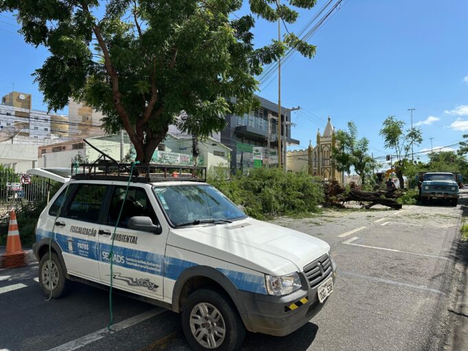 65fdc0690bb5e_WhatsApp_Image_2024-03-21_at_09.16.13_(1)